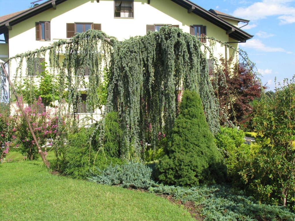 Albergo Residence Isotta Veruno ภายนอก รูปภาพ