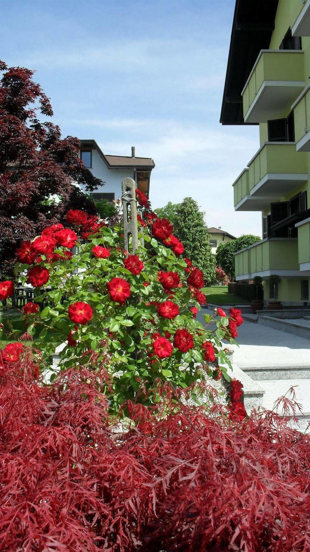 Albergo Residence Isotta Veruno ภายนอก รูปภาพ